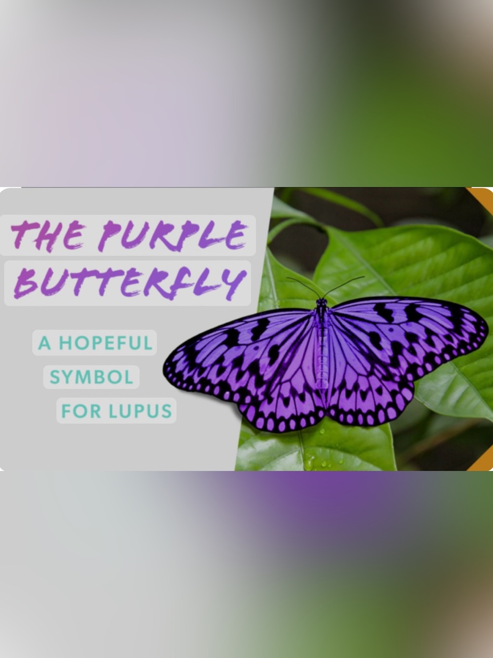 Purple Butterfly Wall Art - Hopeful Lupus Awareness Print